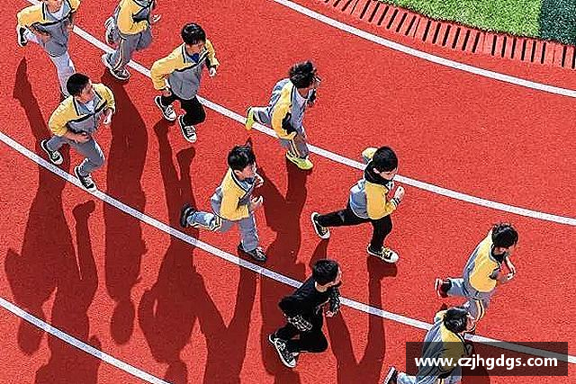 介绍彩神彩票vIII